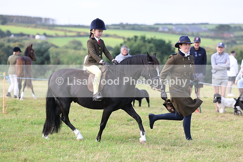 3E7A3432 - Class 2: Lead rein