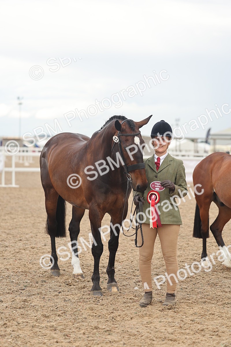 SBM_07935 - Class 28 - IH Veteran Horse