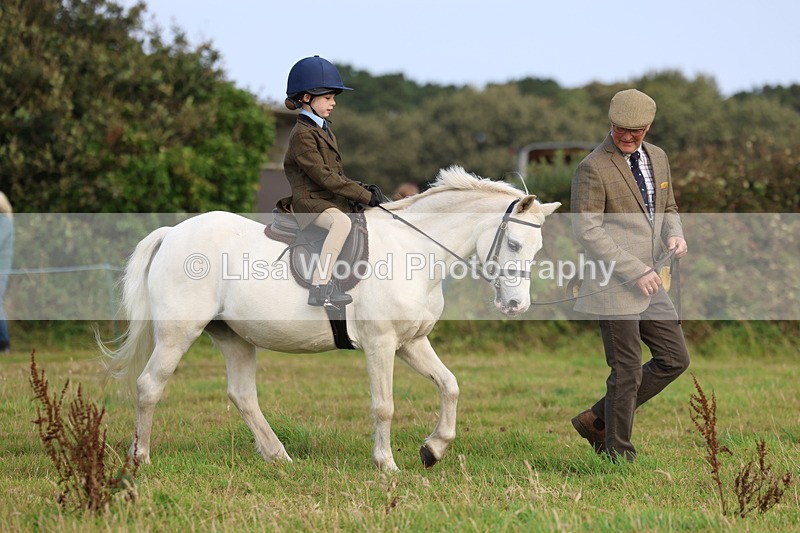 3E7A3488 - Class 2: Lead rein