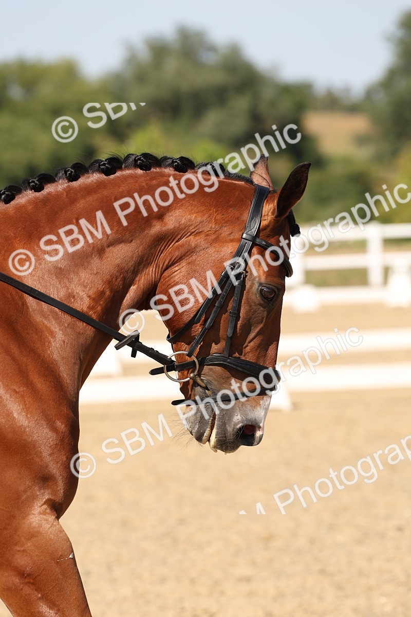 SBM_006381 - Prelim 4 - 15.56-17.51
