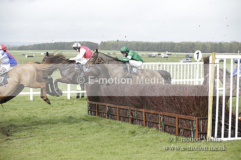 PtP 150320 0389 - New Forest Point-to-Point Larkhill 15/03/20