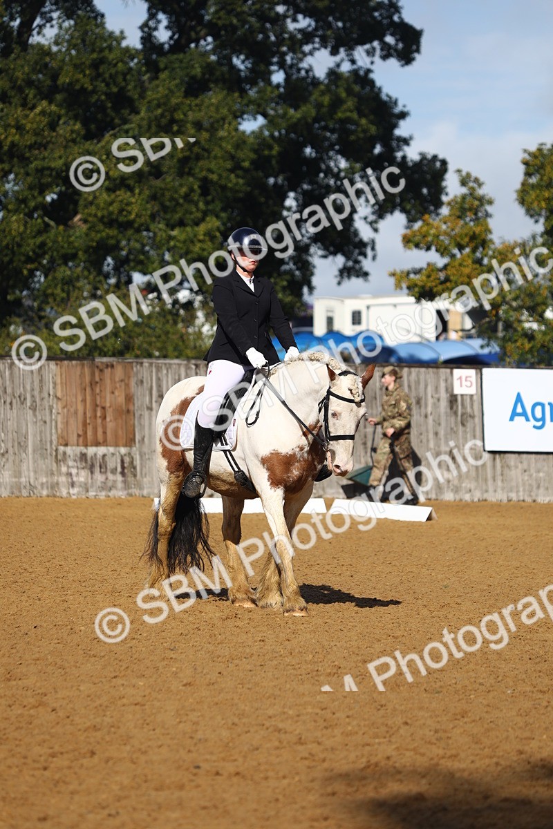 SBM_39007 - D21 - Junior Championship Intro 1
