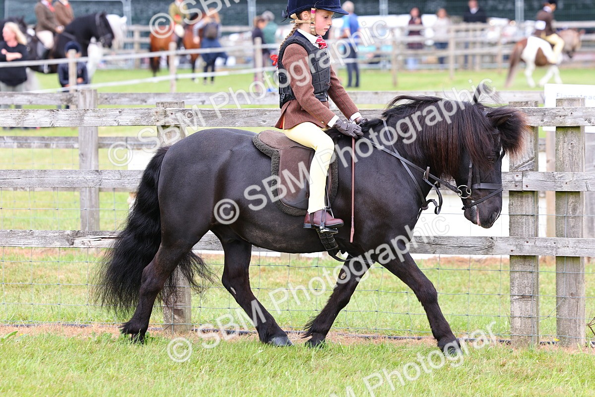 SBM_08500 - Class 42-43 - LIHS BSPS Heritage Working Sports Pony