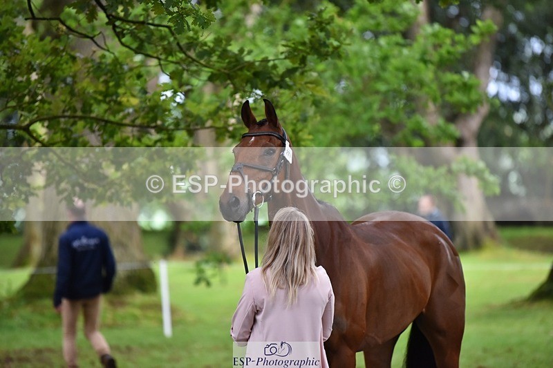 240522-172032-01537 - 270-THE_ELLFIELD_DIKSTER-Kat_Raybould