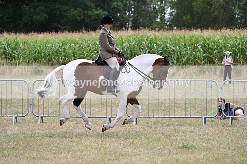 WJ7_5629 - Class 12 Ridden Cob