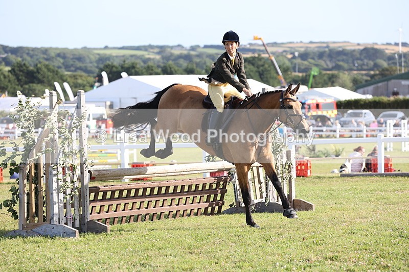 JPP_3195 - Class 21: Working Hunter 80cm