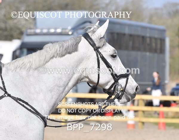 BPP_7298 - CLASS 2 Senior British Novice/ 90cm Open