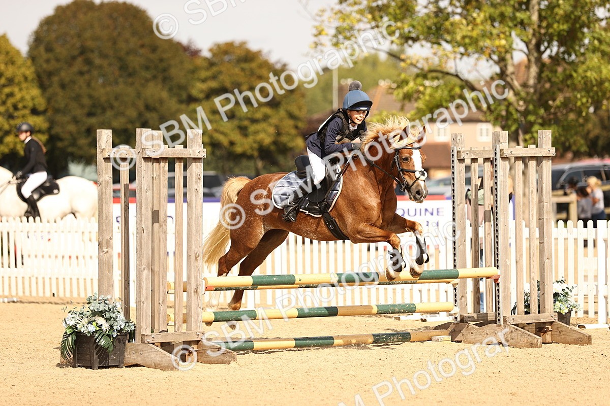 SBM_67031 - J13 - Junior Pony 60cm Championship