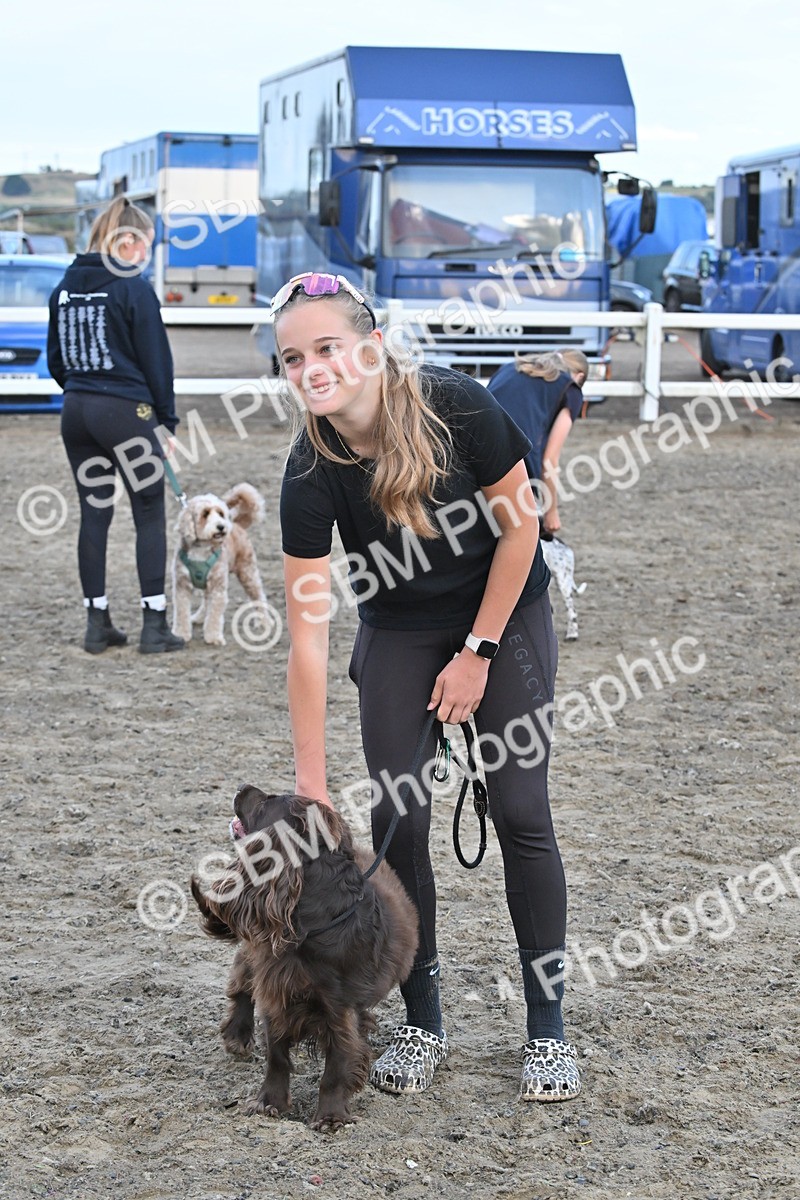 SBM_09545 - Lorry Dogs