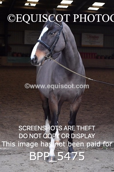 BPP_5475 - Morag Johnston