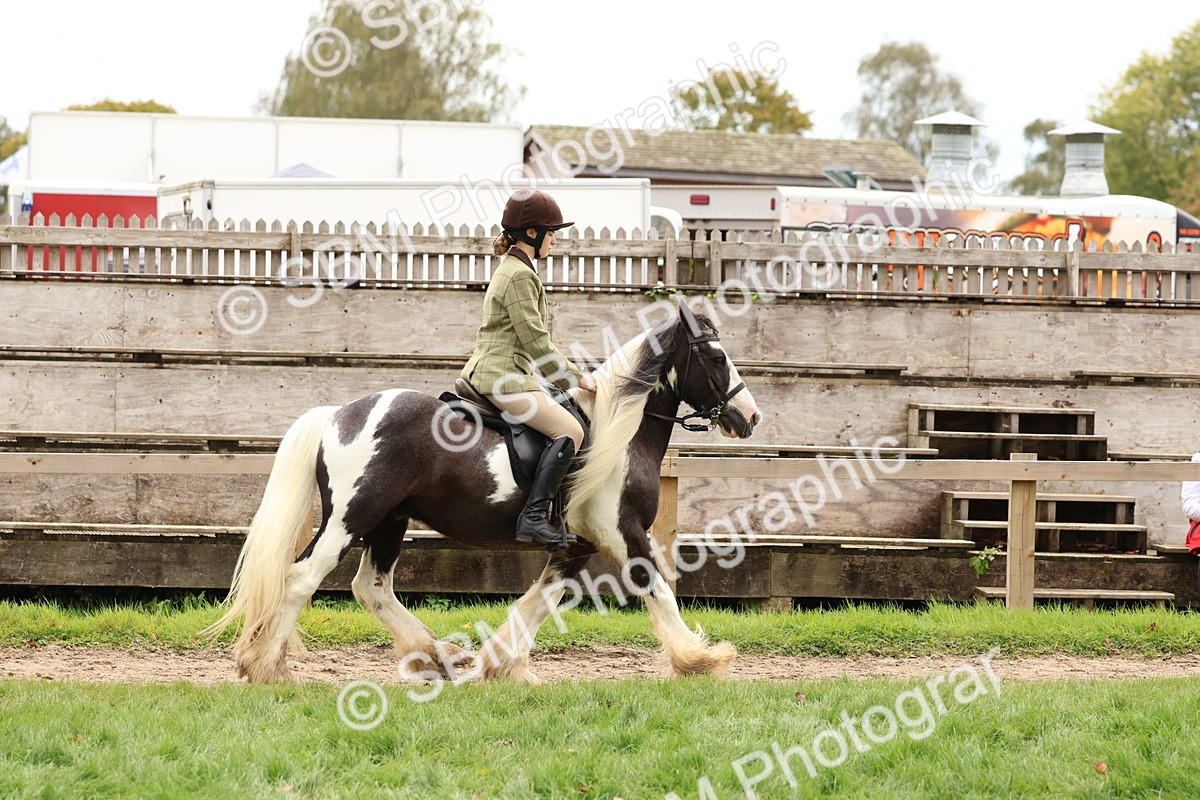 SBM_64415 - S58 - Coloured Pony Ridden