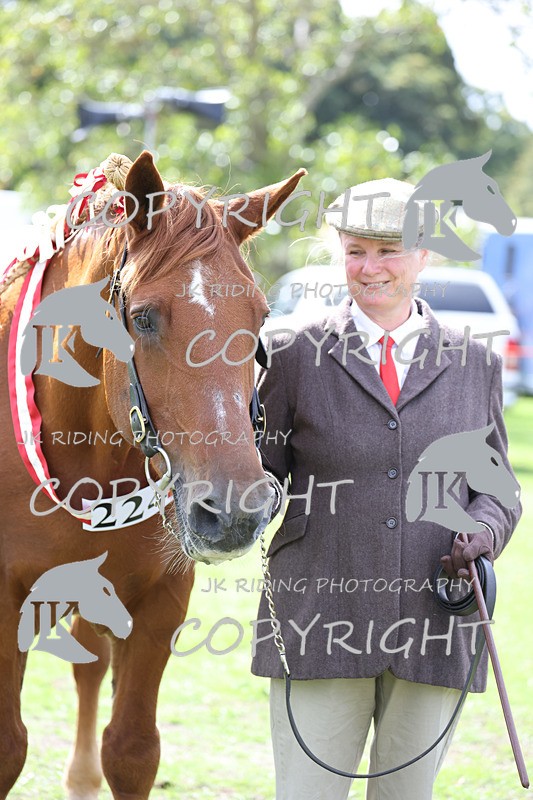 APP_3272 - Class 4 Veterans