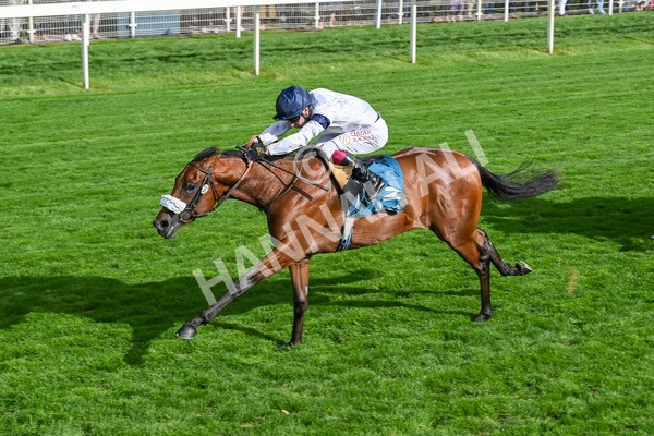 210825-Race 6-Stellar Sunrise-5214 - Race 6 4.45pm Mews Hotel Ossett EBF Stallions Nursery Handicap