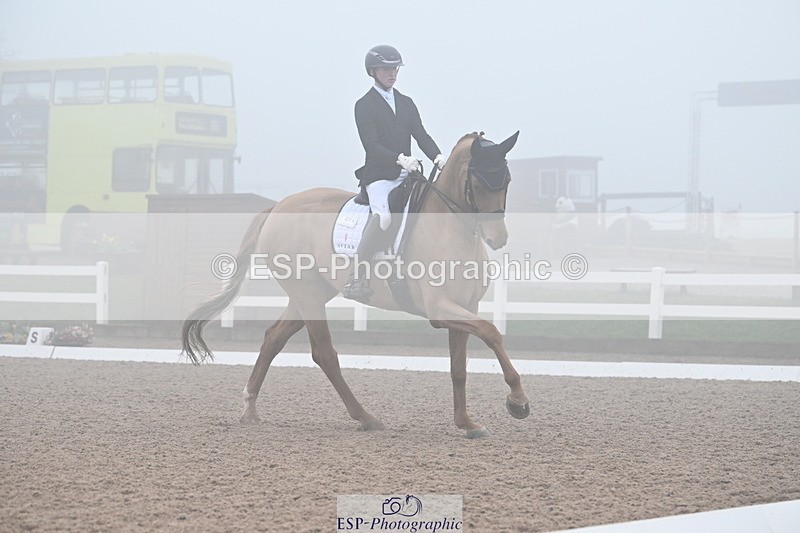 240217A-131427-02784 - 271-Tom.Carter-Rubin.Regal