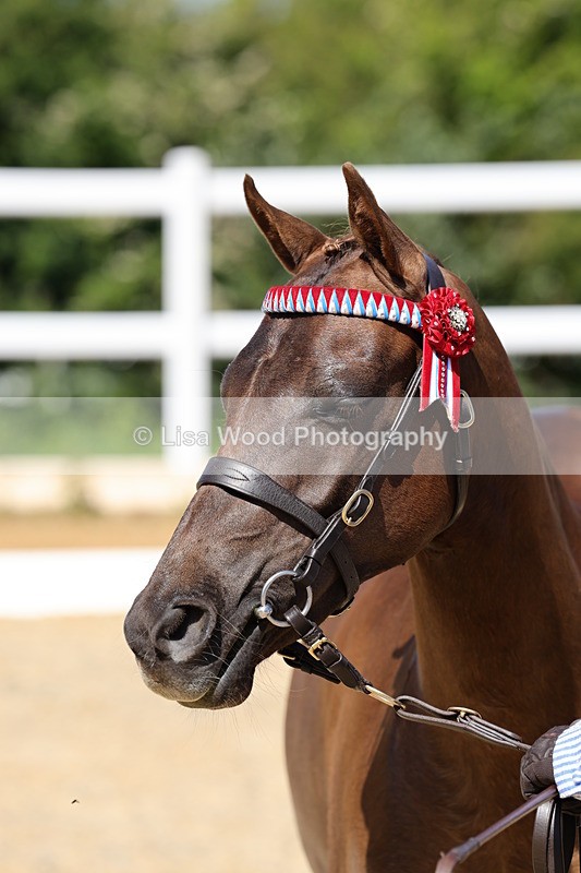 1X9A1104 - Class 8: Open Show/Hunter Pony not to exceed 153cm