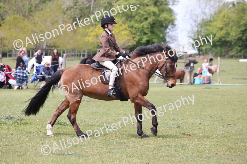 20260426-2979 - Class 33 - Best Pony 14.2hh and Under