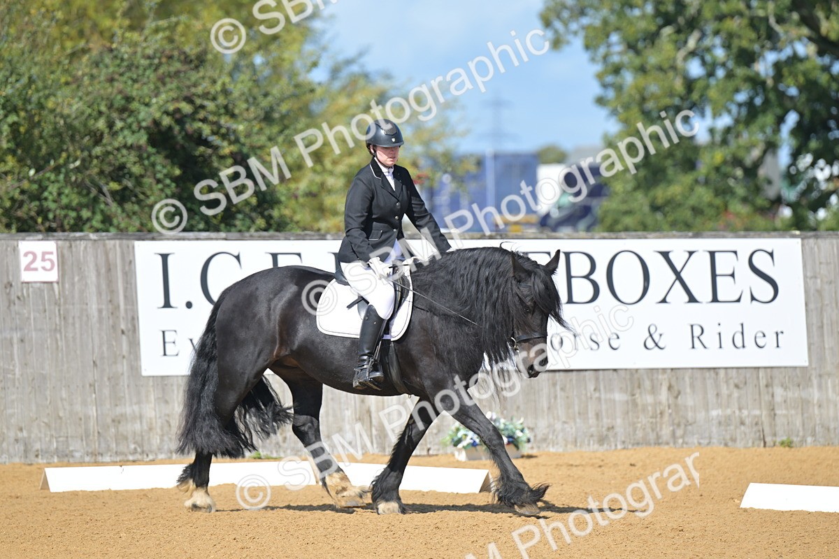 SBM_03974 - D2 - Small Tour Championship Intro 2