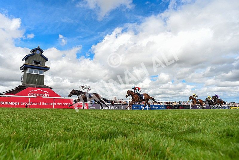 040726-Race 1-Palm Reader-5759 - Race 1 14.17pm Rob Over The Hill EBF Maiden Stakes
