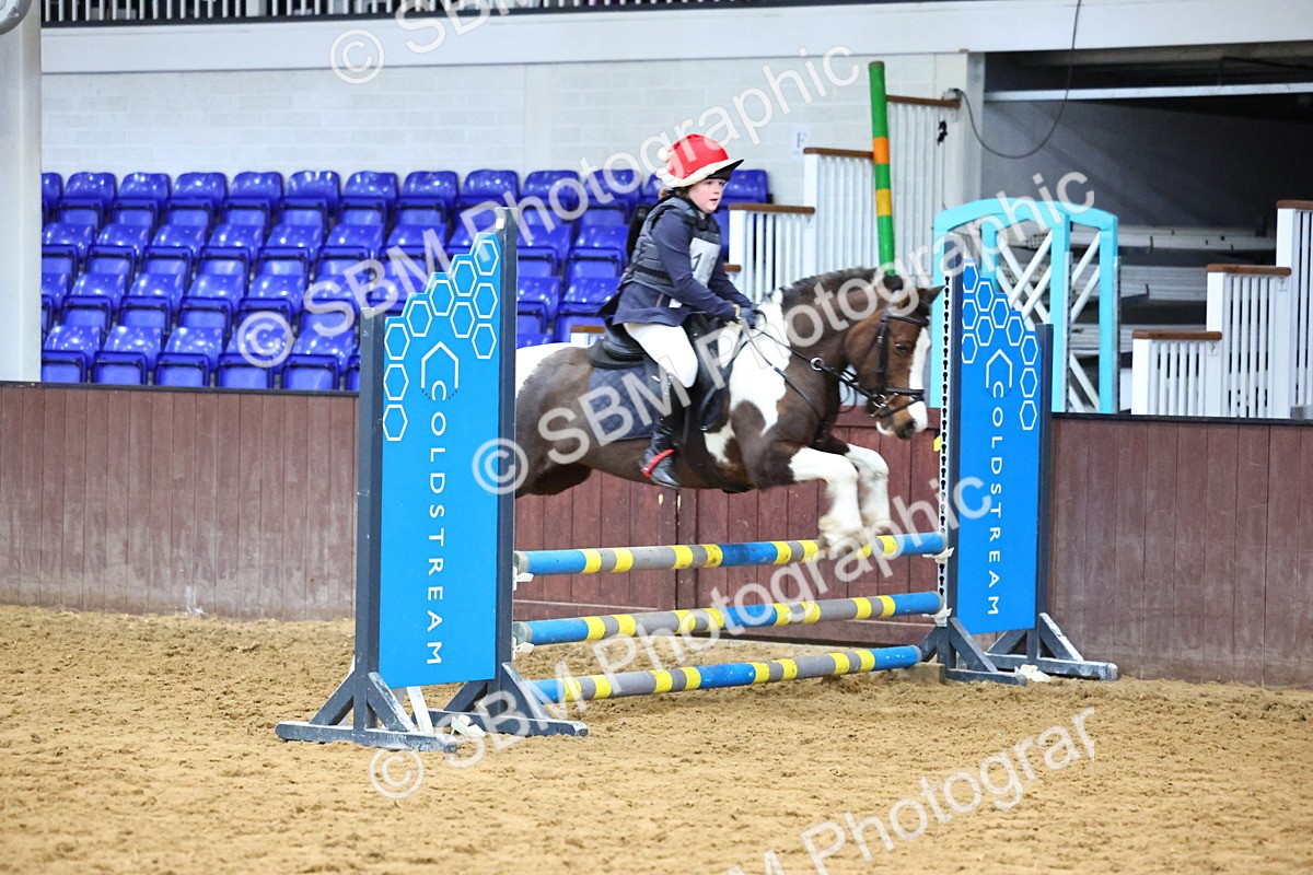 SBM_001234 - Class 3 - Christmas Tree Stakes - 60cm