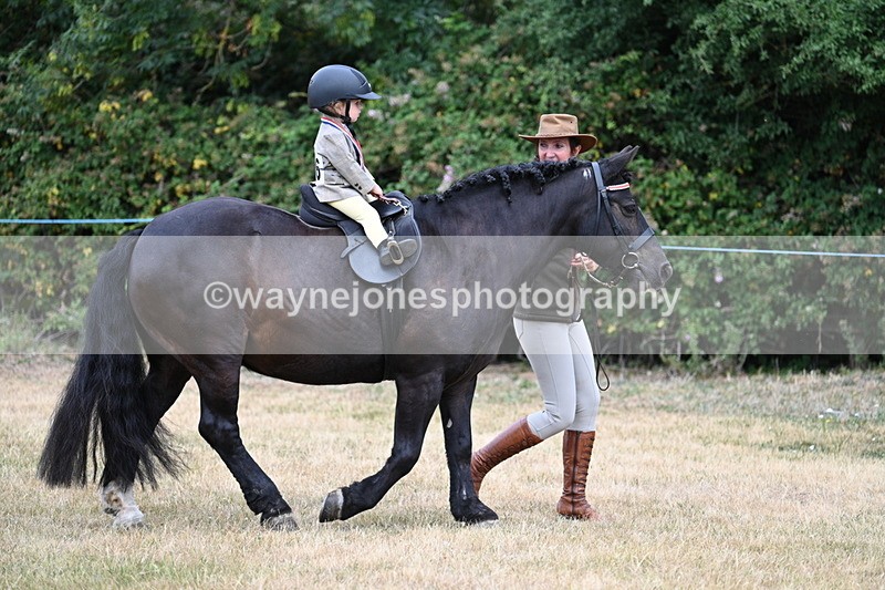 WJ7_9976 - Class 1 Lead Rein Pony