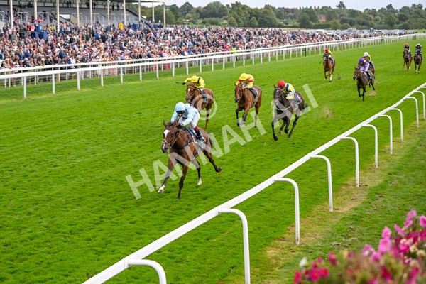 220824-Race 5-Scenic-7617 - Race 5 4.10pm British EBF & Sir Henry Cecil Galtres Stakes
