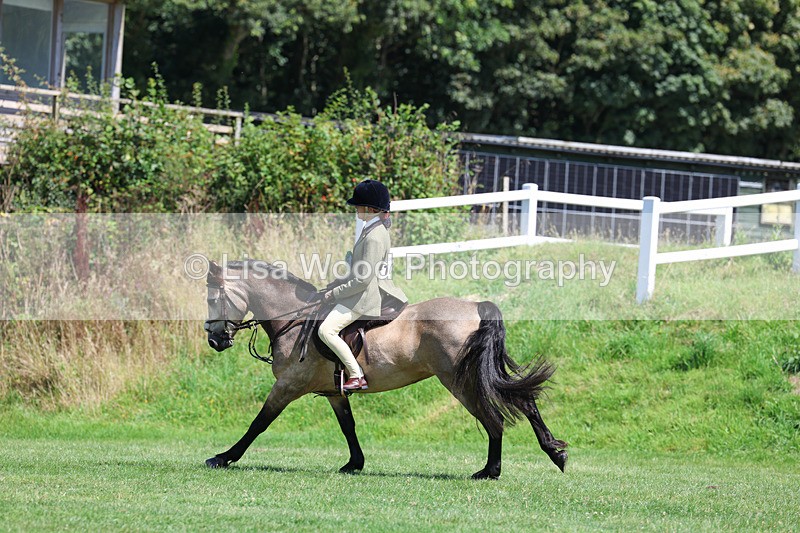 3E7A9201 - Working Hunter Championship