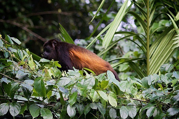  - Costa Rica