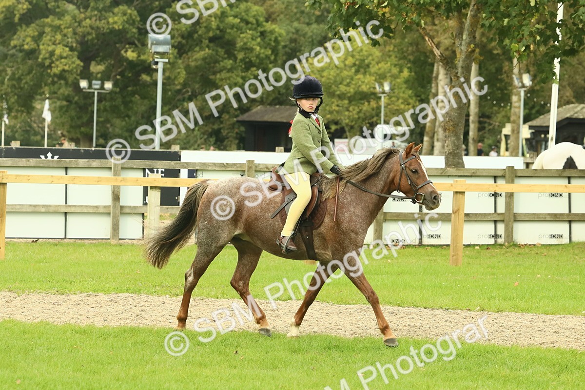 SBM_69956 - S59 - Mountain & Moorland Ridden Small Breeds