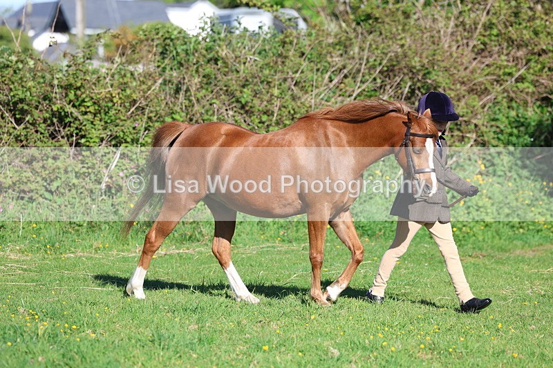 3E7A8302 - Class 12: M & M Small Breeds