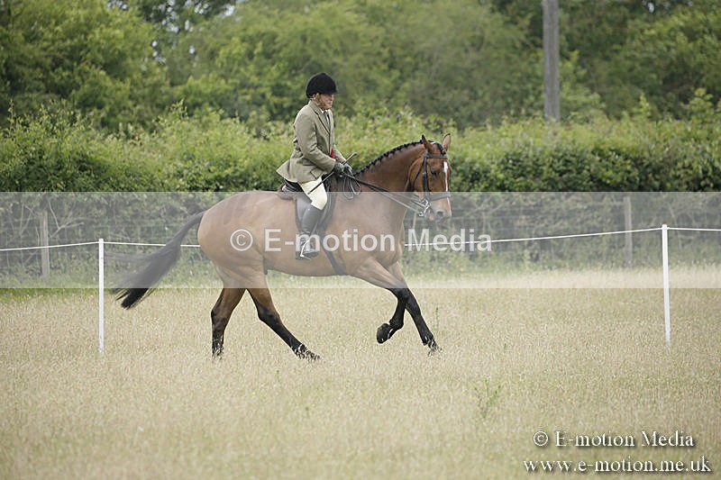 B230619-0804 - Bourne Valley Riding Club Summer Show 23/06/19