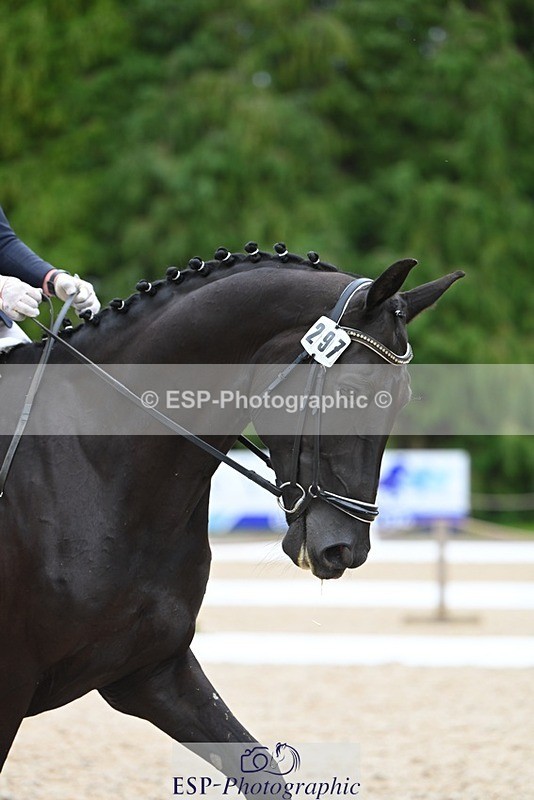 230813-170019-08536 - Cls 14 Medium Silver 16.45 to End