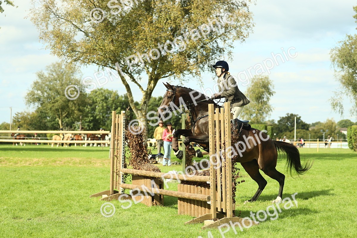 SBM_48024 - S32 - Novice & Newcomers Working Hunter