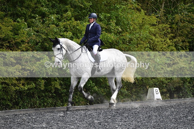 WJ5_2014 - Time 15:05 to 15:30