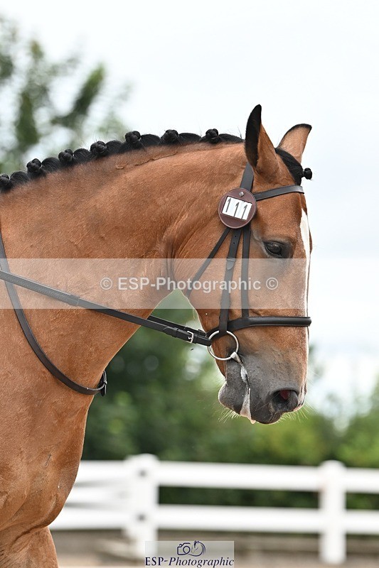 250705-175521-03974 - BRCP4 Sections BRCP4SNR, BRCP4JNR 13.50 to 14.53