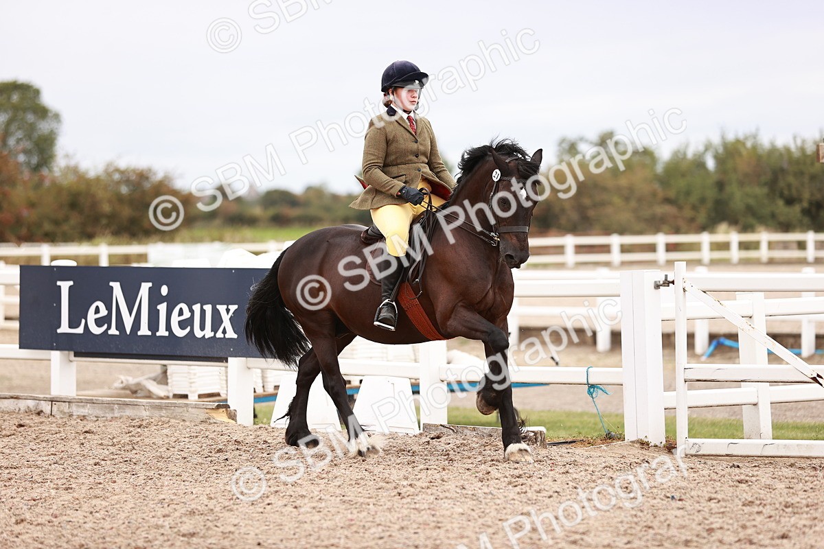 SBM_18965 - Class 422 - Ridden M&M