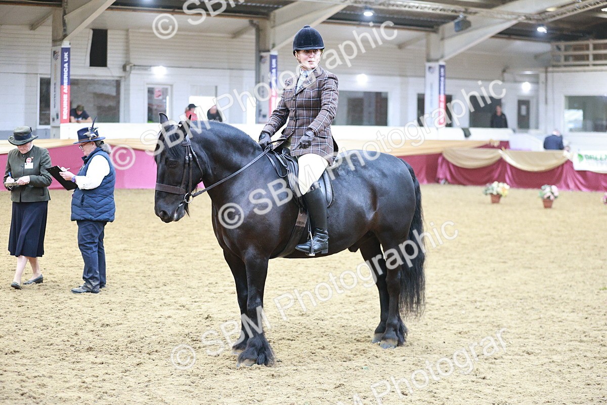 SBM_08875 - Class 12R - Regional Ridden Pre-Vet