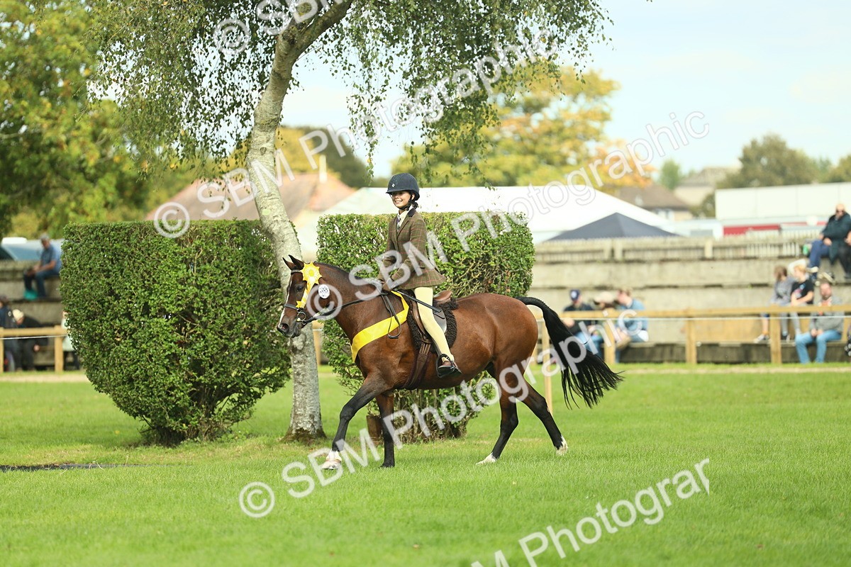 SBM_44952 - Working Hunter Pony Supreme Championship