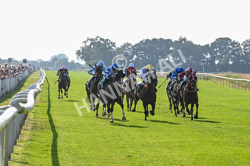 300824-Race 6-Havana Sky-6351 - Race 6