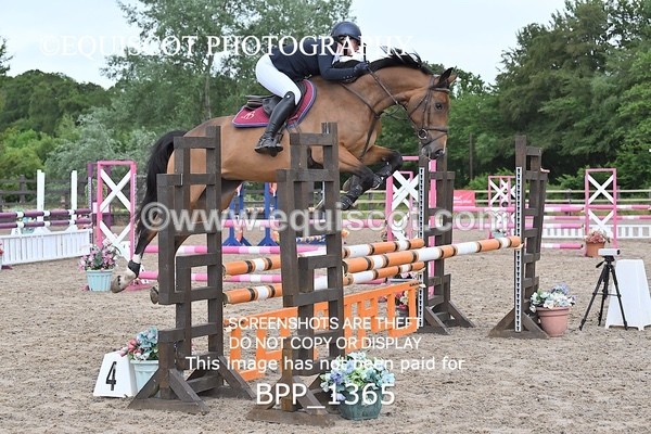 BPP_1365 - CLASS 11 SAT Ariat Senior BritiNovice 2ND ROUND