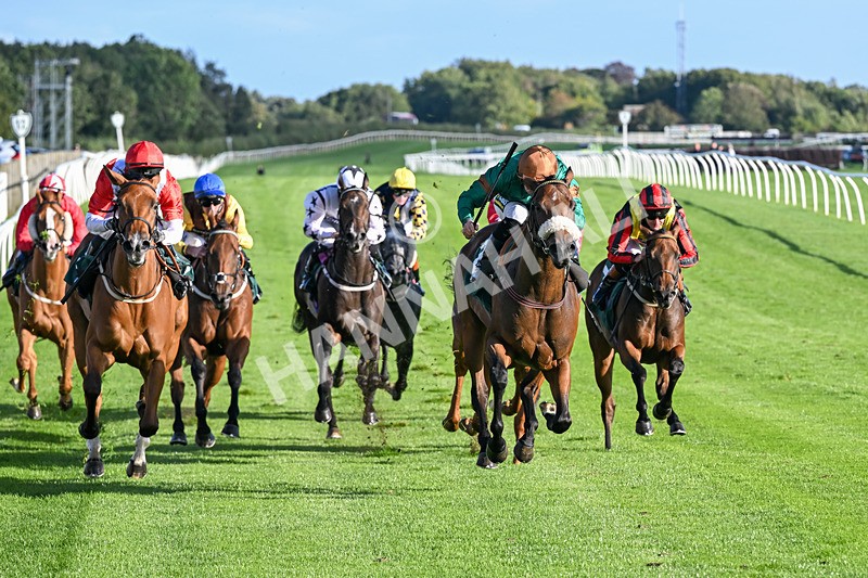 080926-Race 7-Military Girl-3321 - Race 7 5.21pm RMG Proudly Supports Teenage Cancer Trust Handicap