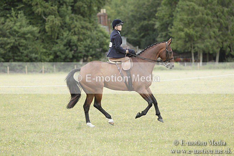 BVR160717-2359 - Side Saddle Classes 16/07/17