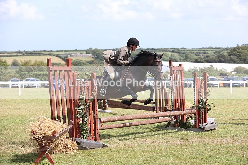 JPP_2181 - Class 19: Working Hunter 60cm