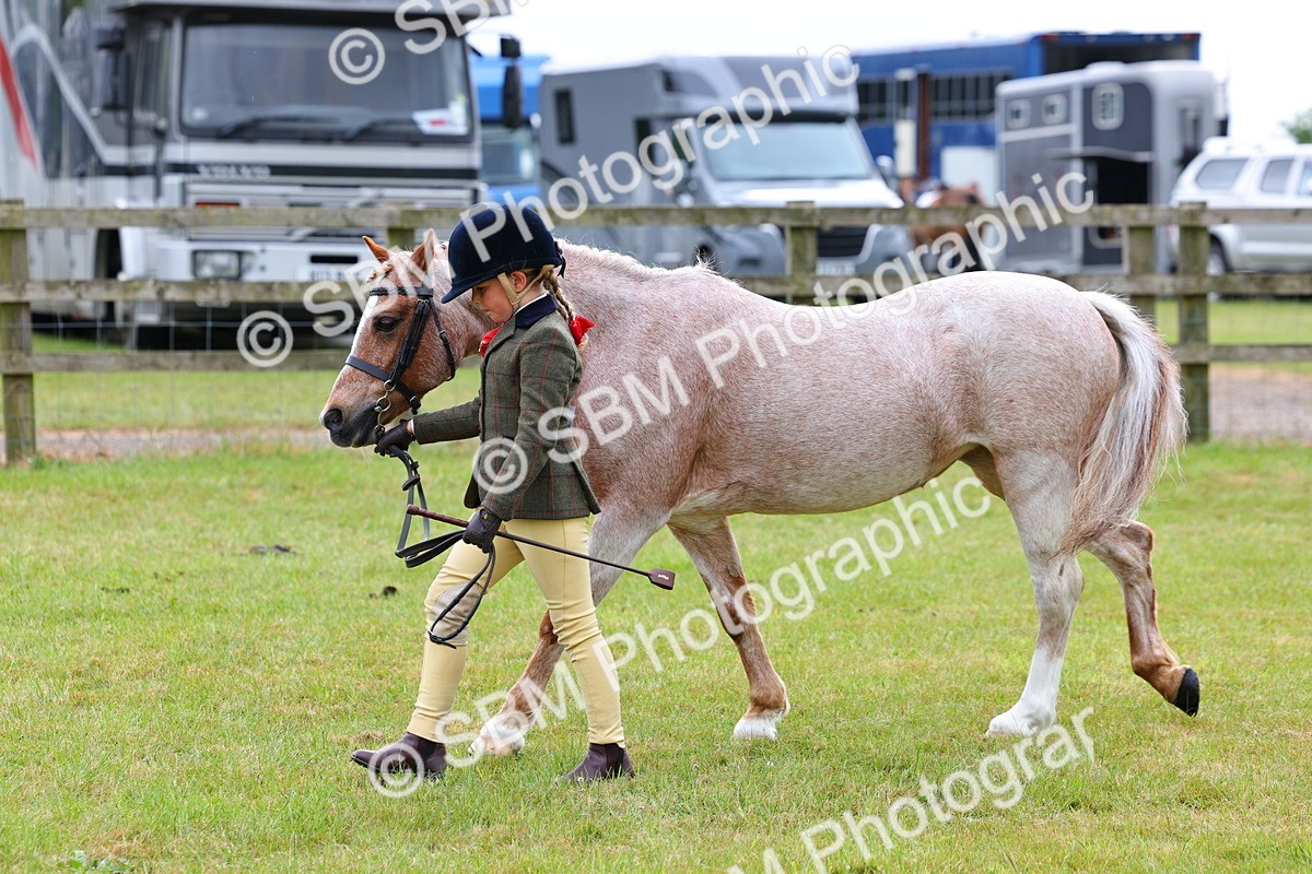 SBM_09439 - Class 44-45 - LIHS BSPS Open Nursery and Cradle Stakes