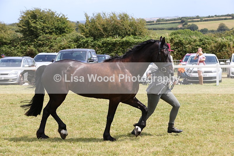 1X9A4860 - Class 35: Veteran In Hand