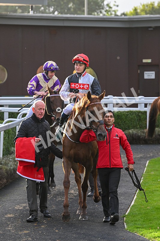 021024-Race 7-Bittalemon-9843 - Race 7