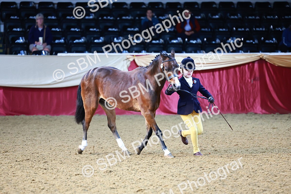 SBM_21792 - Class 901 - Supreme Final - IH  Diamond