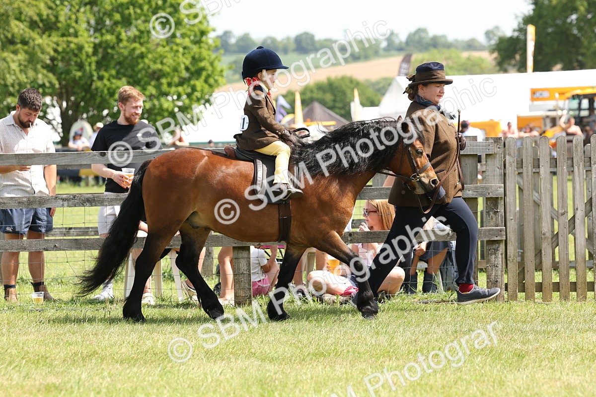 SBM_05181 - Class 24-25 - Mountain & Moorland In Hand Lead Rein and First Ridden