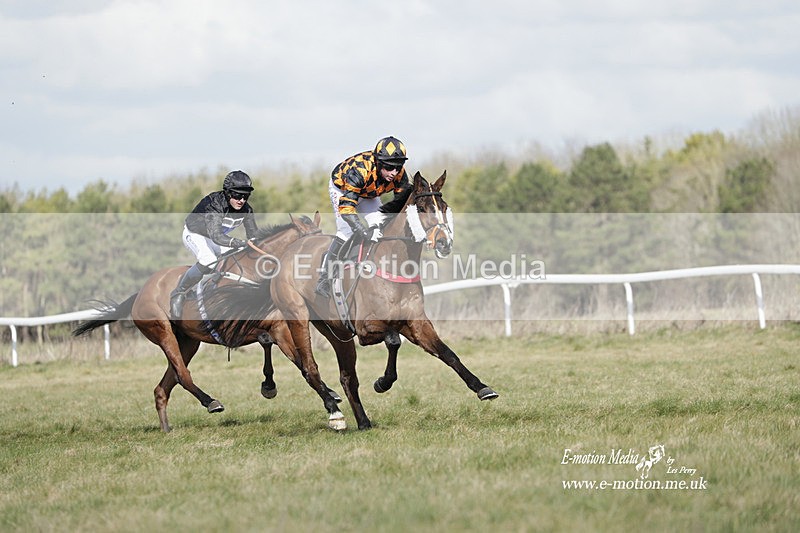 PtP 260223 448 - South & West Wilts Point-to-Point Larkhill 26/02/23