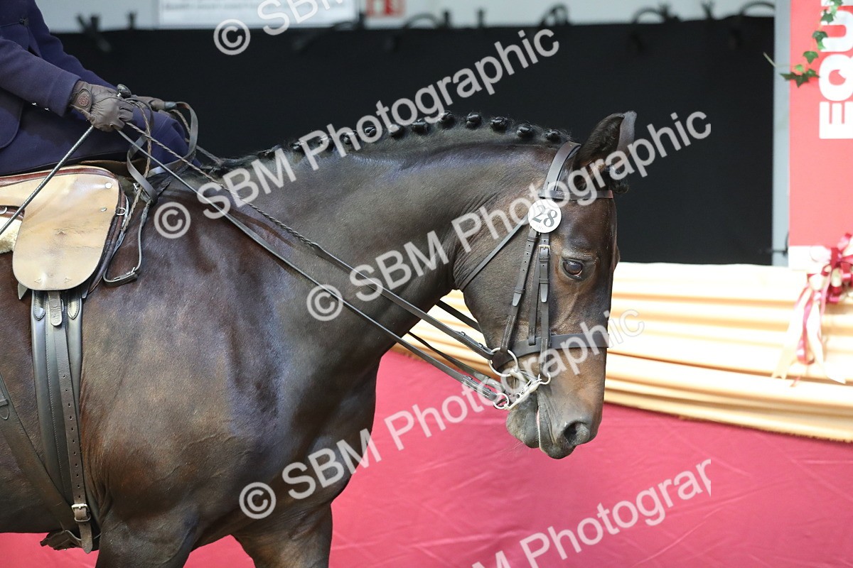 SBM_01939 - Class 4a Area Ridden Diamond