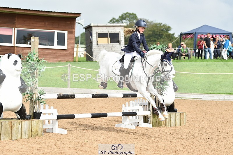 230902A-115656-00884 - Cls 2B Pony Small 80cm